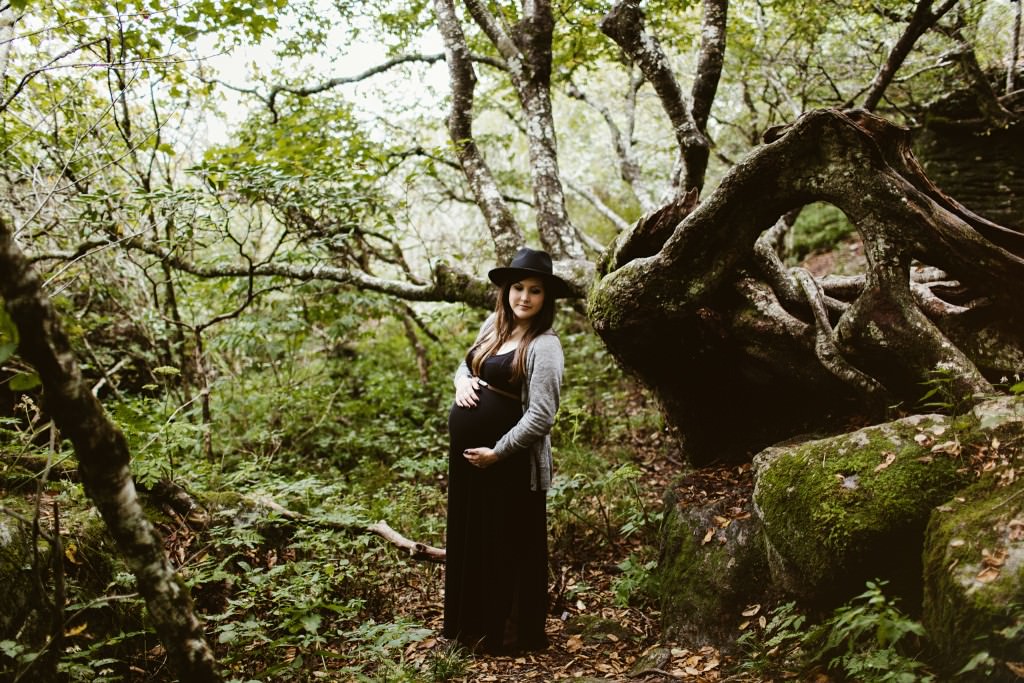 craggy gardens portrait