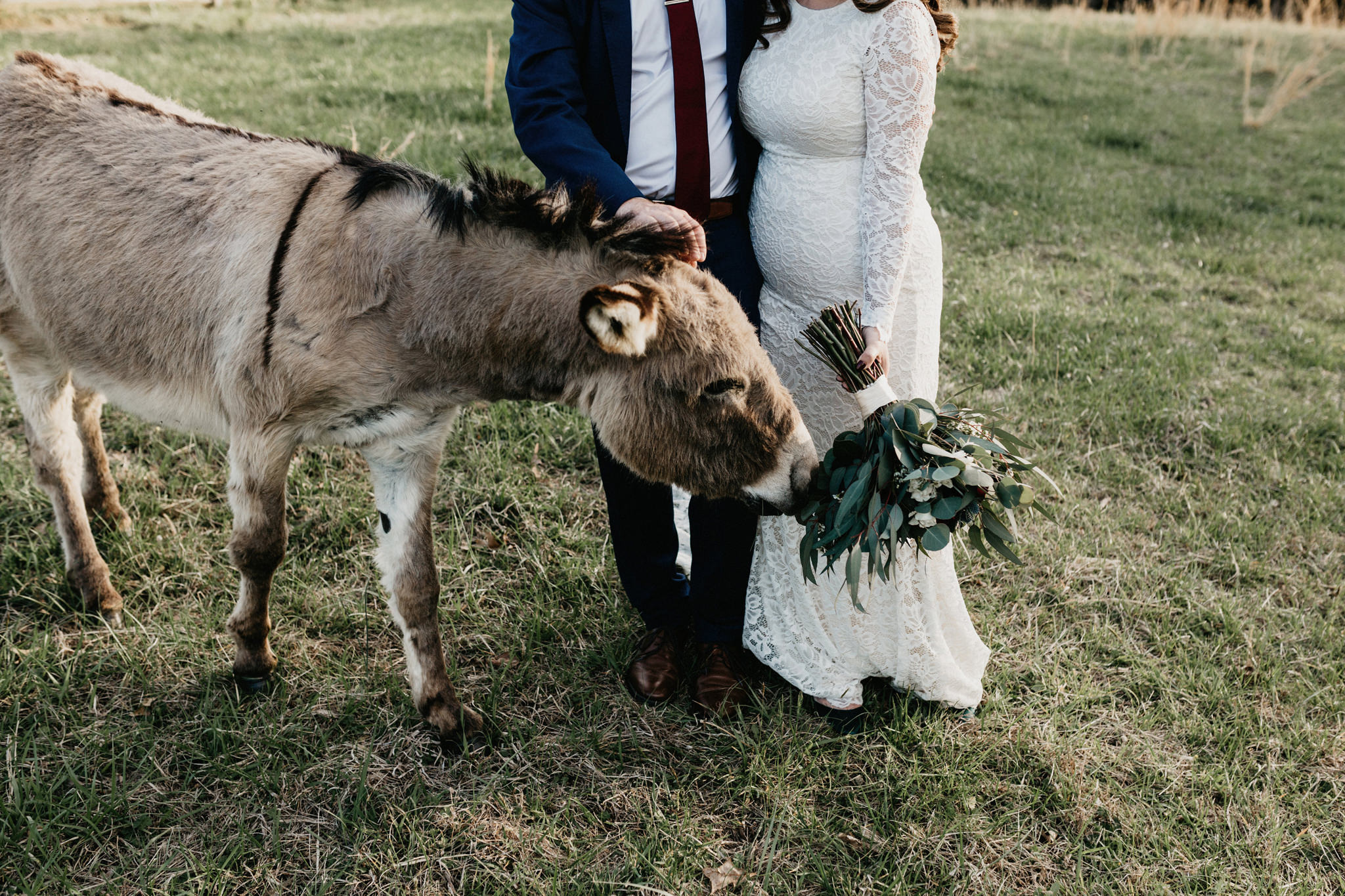 timberlake earth sanctuary wedding