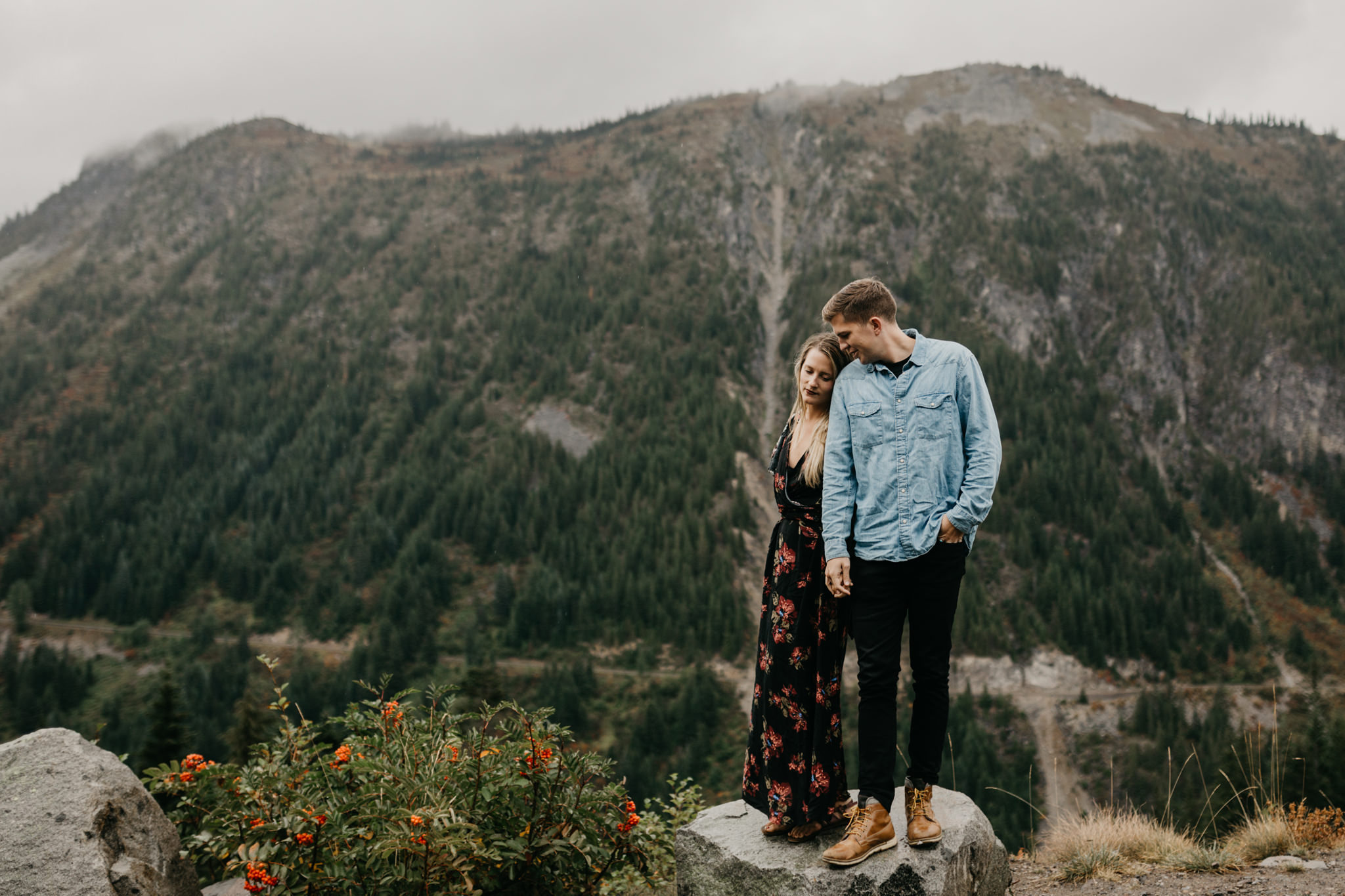 mt rainier national park photos