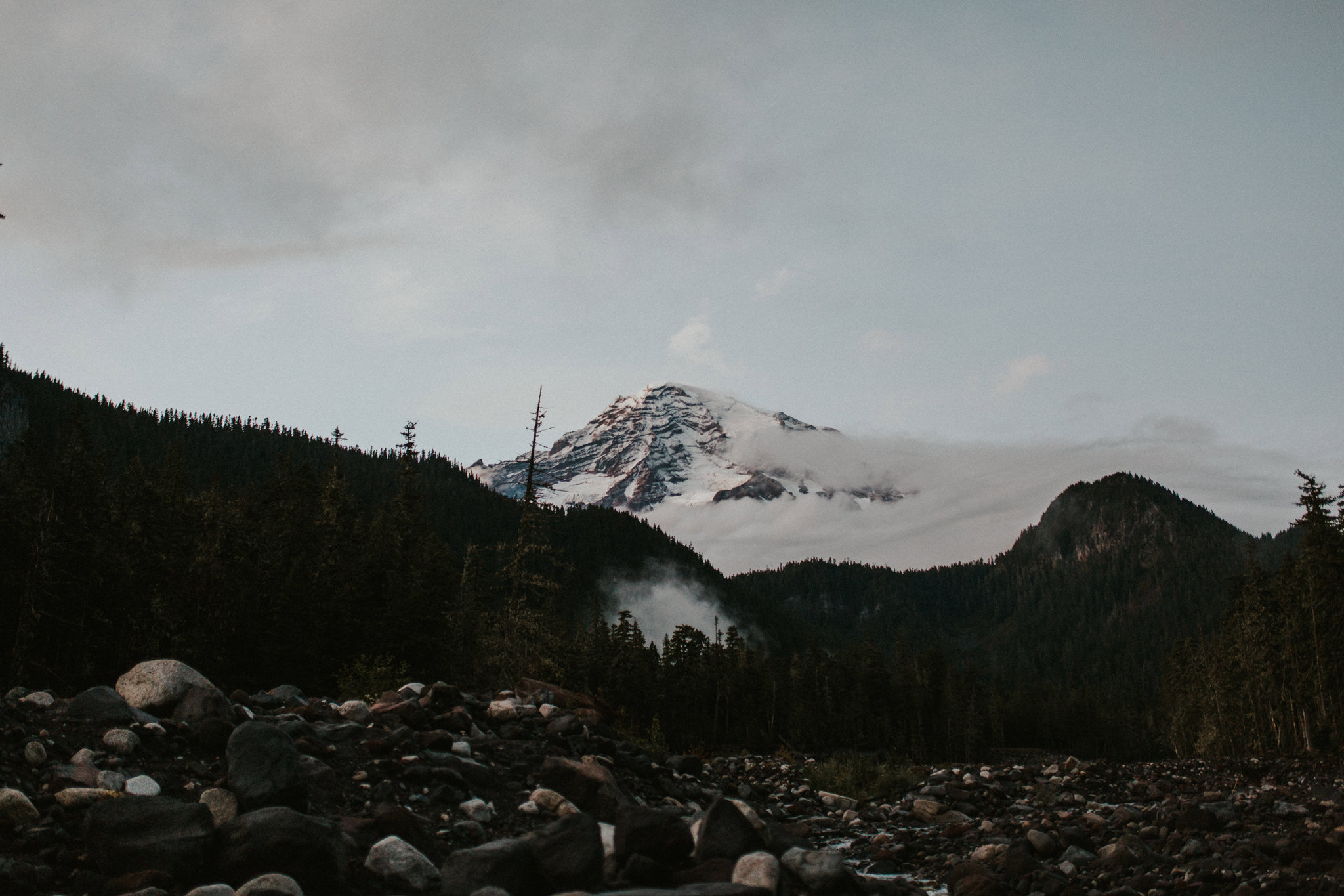 mount rainier washington
