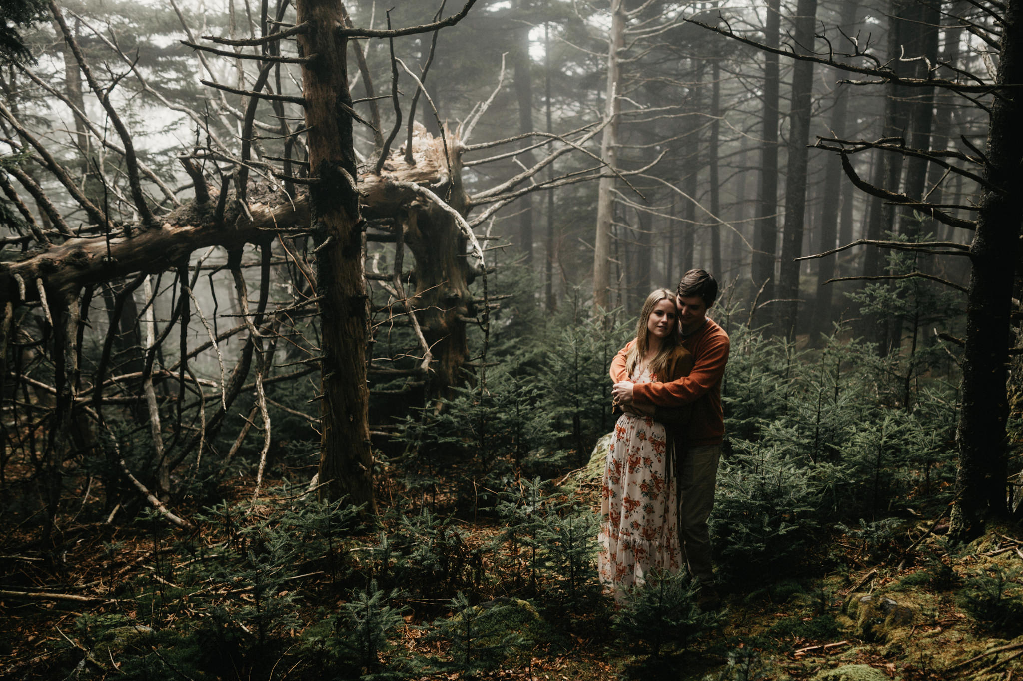 foggy roan mountain engagement photos
