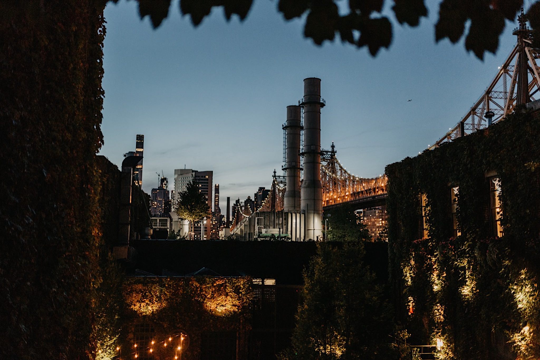 modern brooklyn wedding