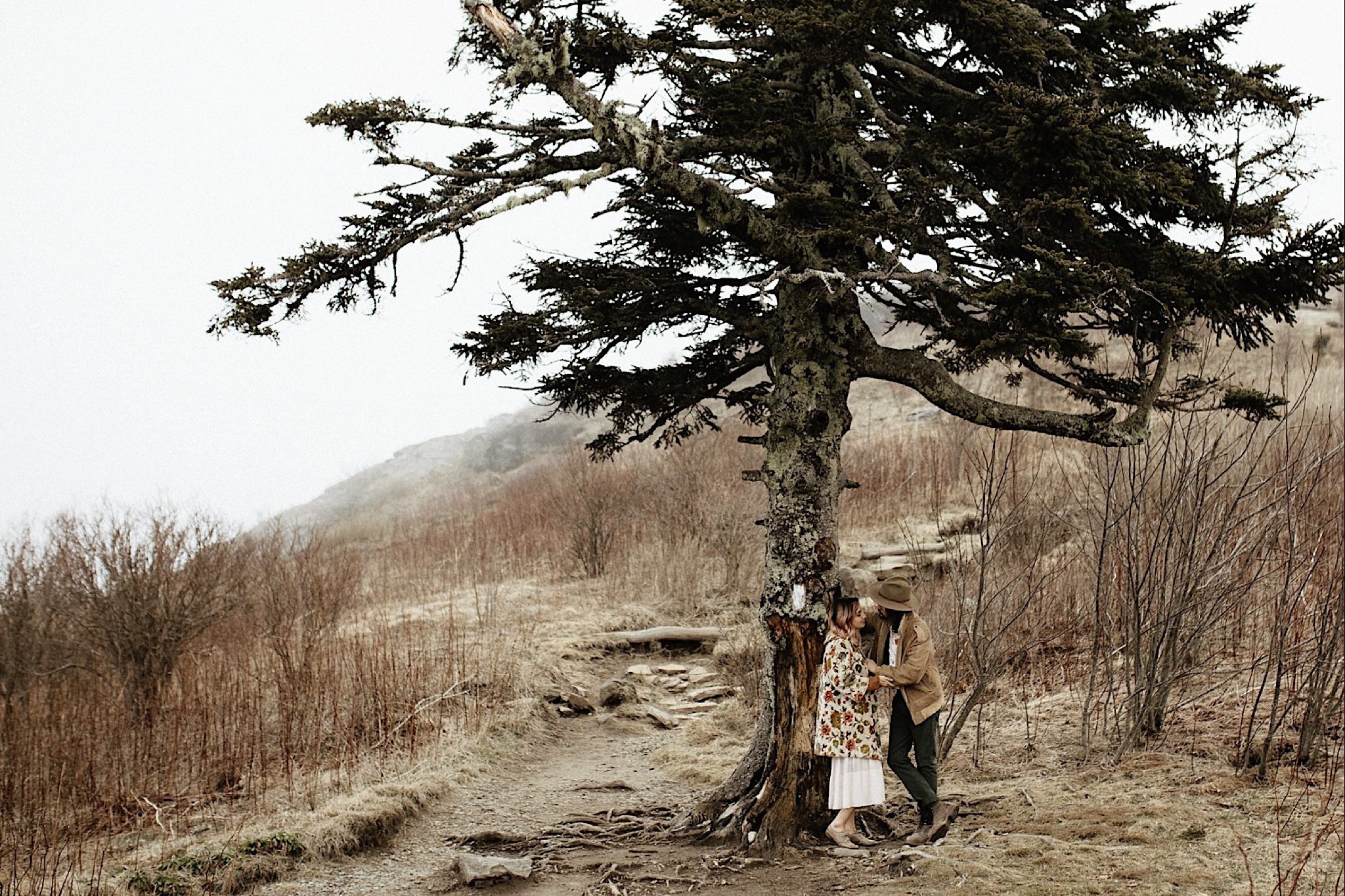 black balsam knob asheville engagement photos
