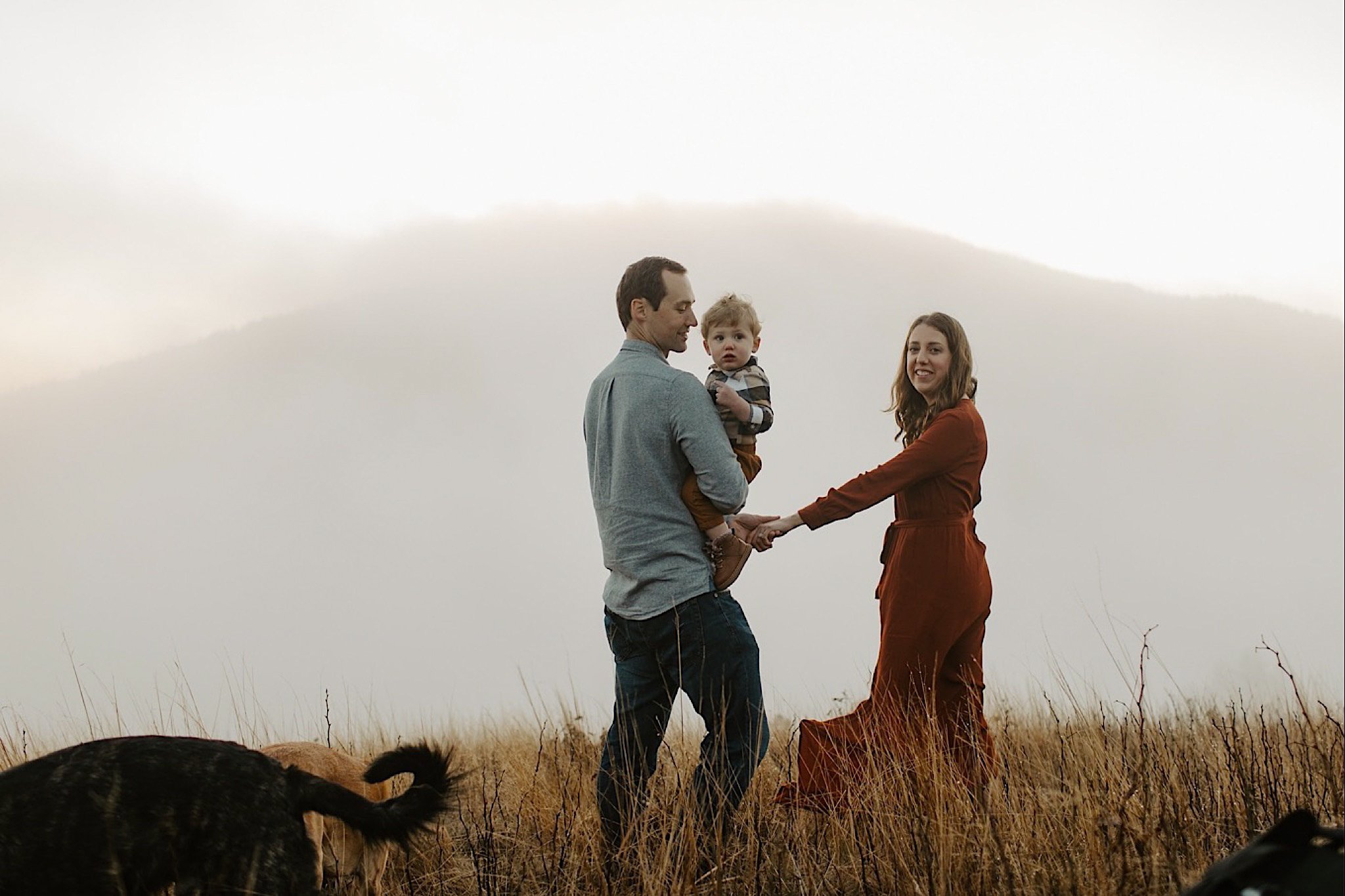 roan mountain family session