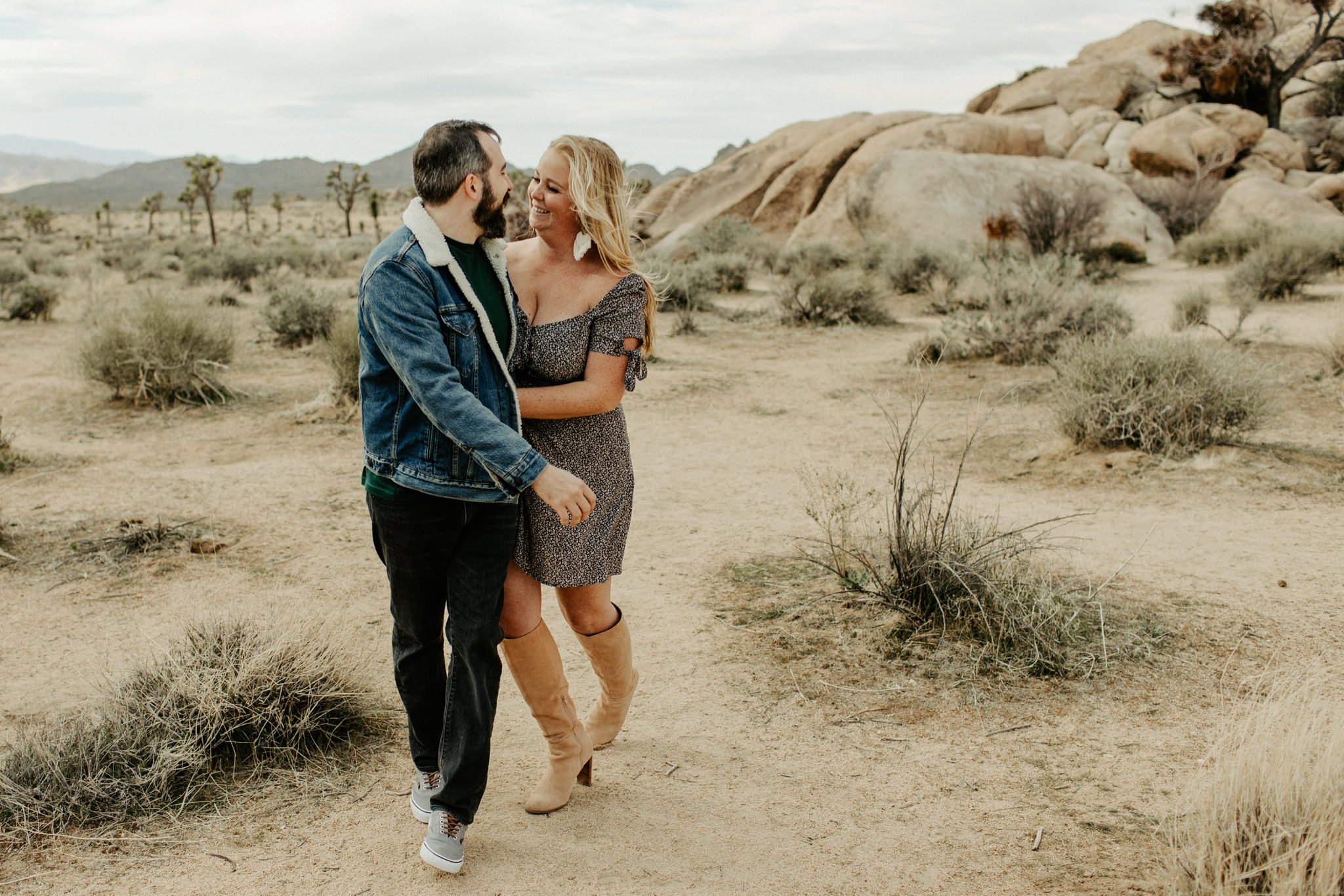 joshua tree california photos