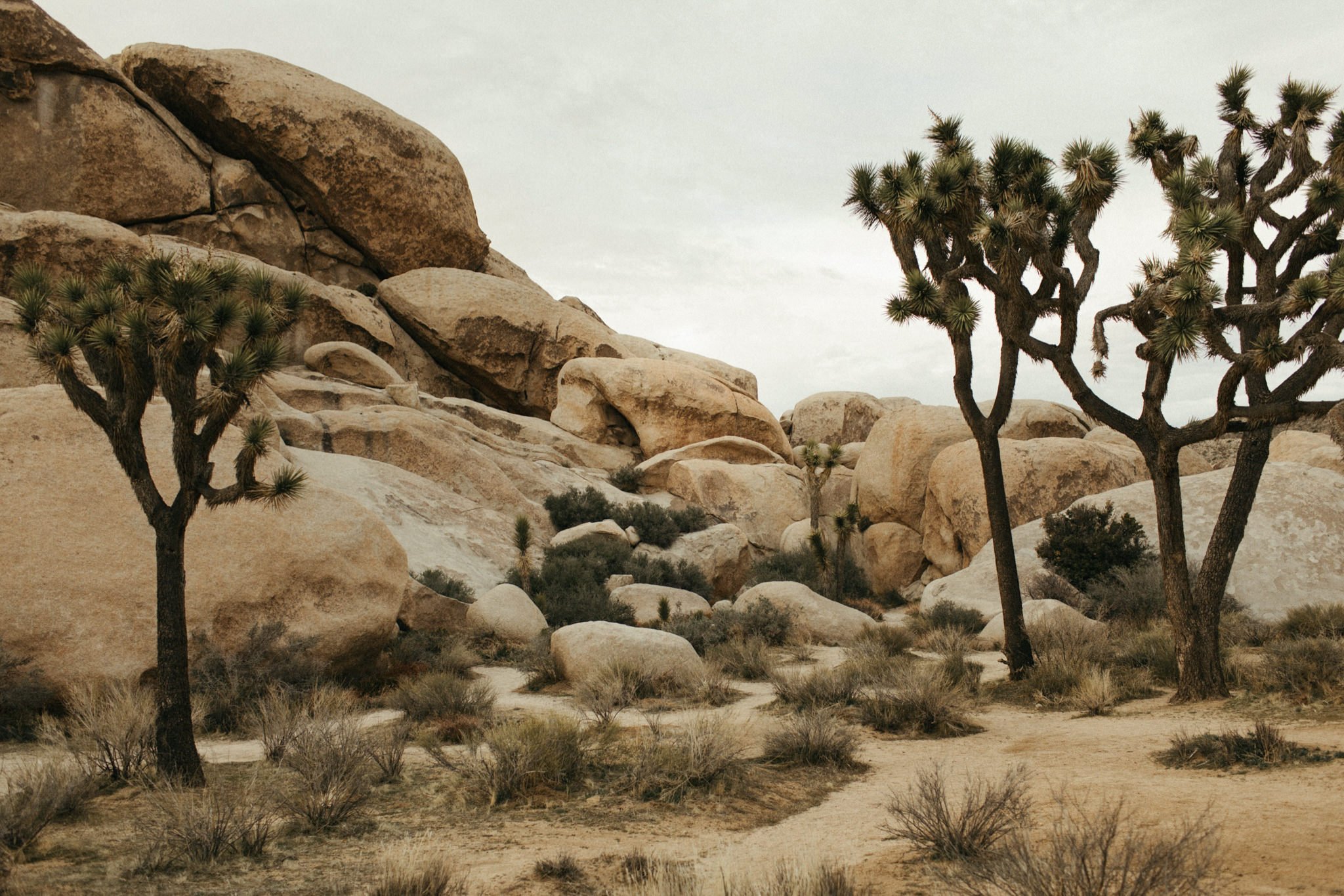 joshua tree photo locations