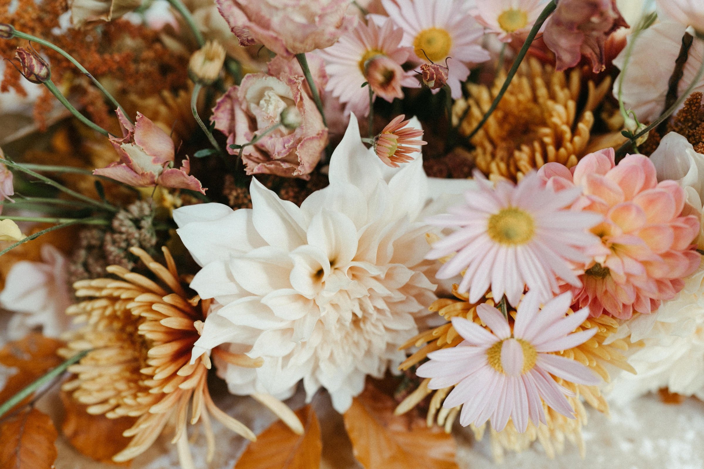 charlotte wedding florals