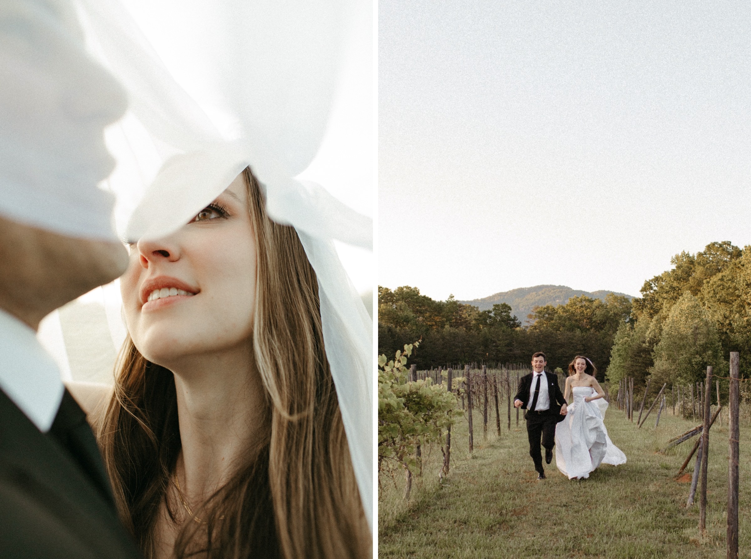south carolina mountain wedding