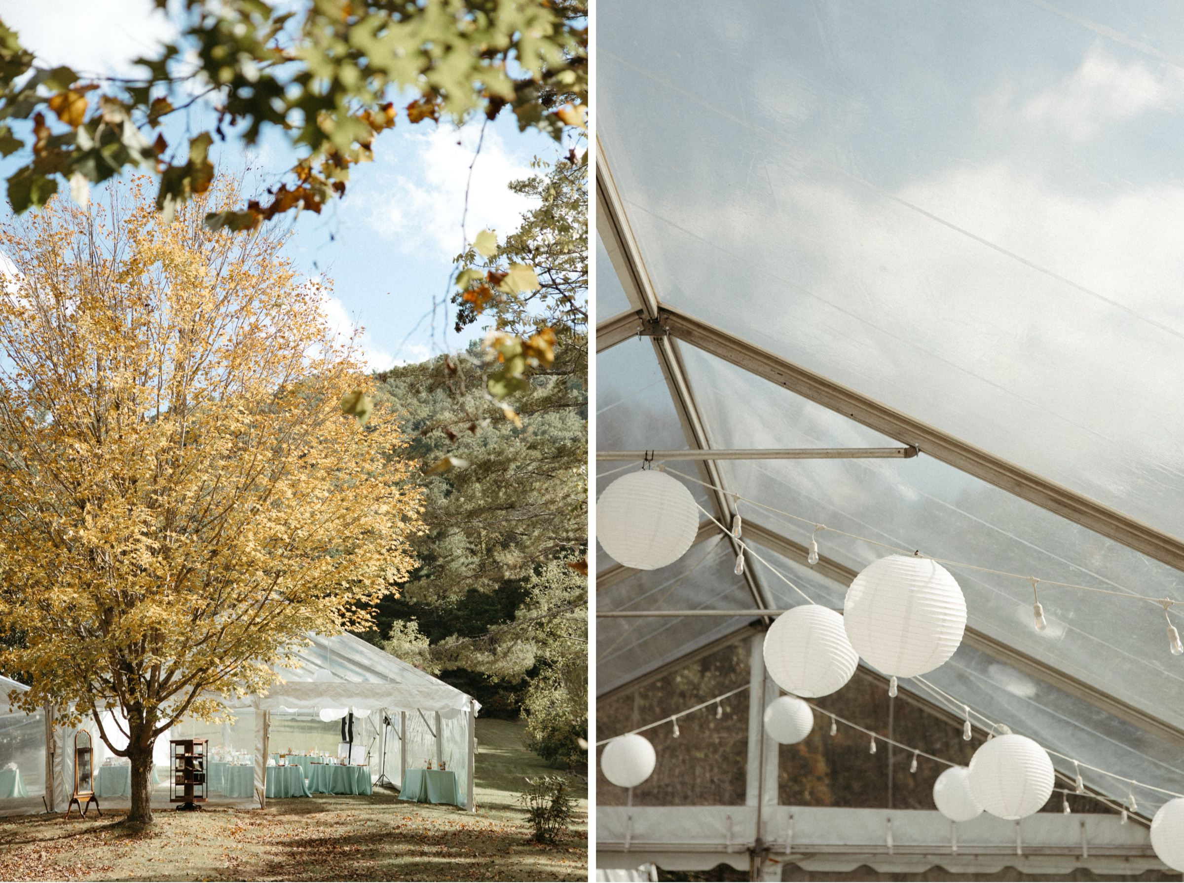 asheville wedding reception