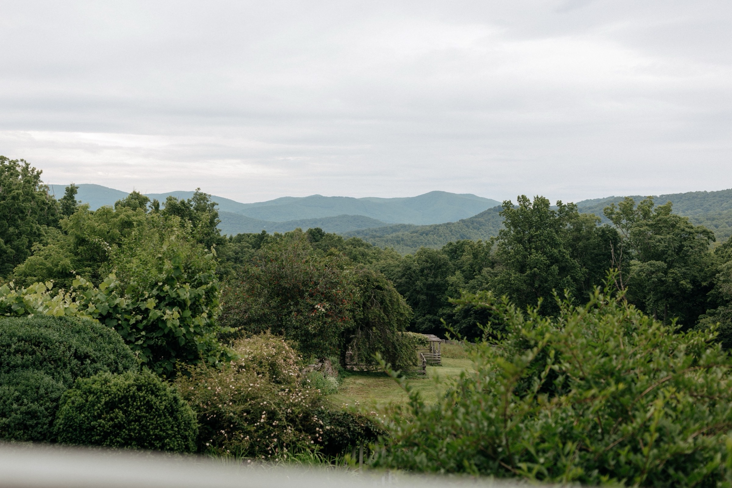 Western North Carolina wedding ceremony with natural greenery and scenic mountain backdrop.